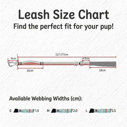 Reflective Adjustable Dog Leash
