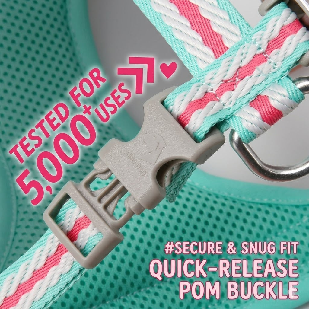 Reflective Mesh Harness & Leash Set