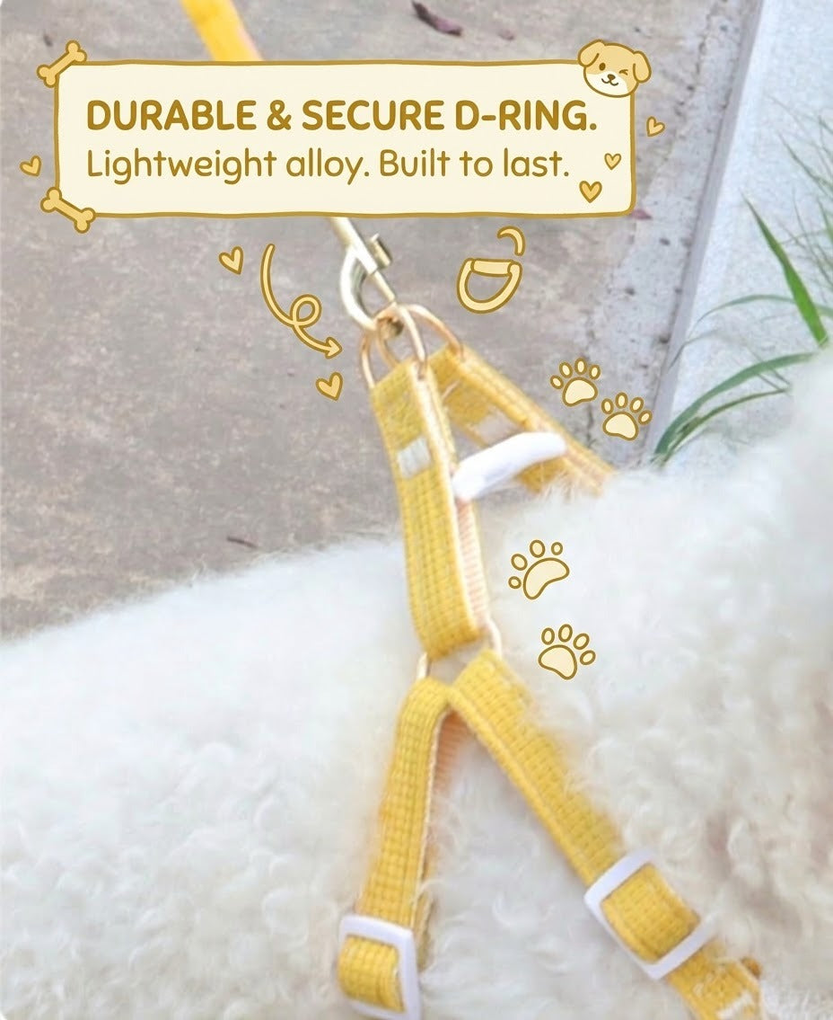 Lace Trim Harness & Leash Set