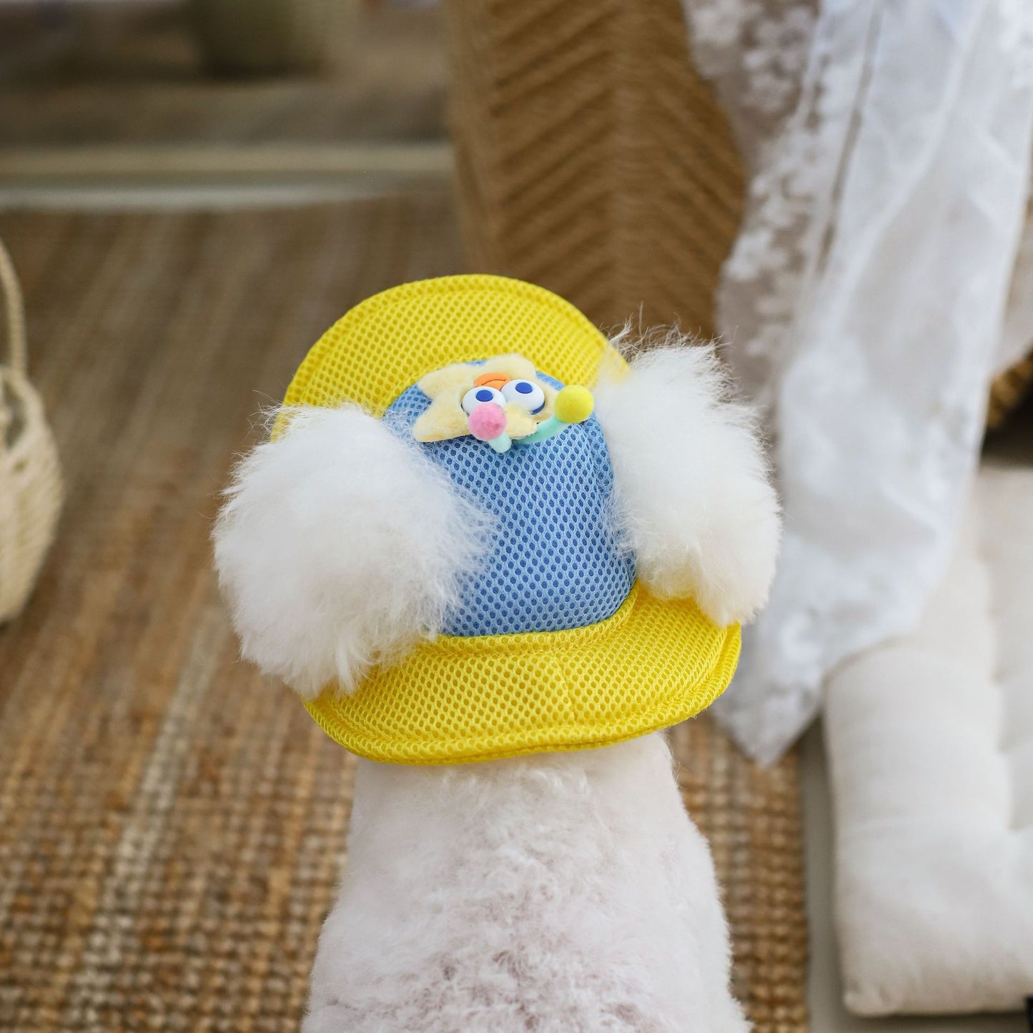 Cartoon Star Mesh Dog Hat