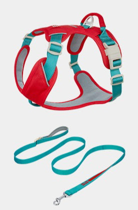 Pop Art Harness & Leash Set