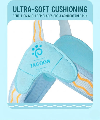 Wave Pattern Harness & Leash Set