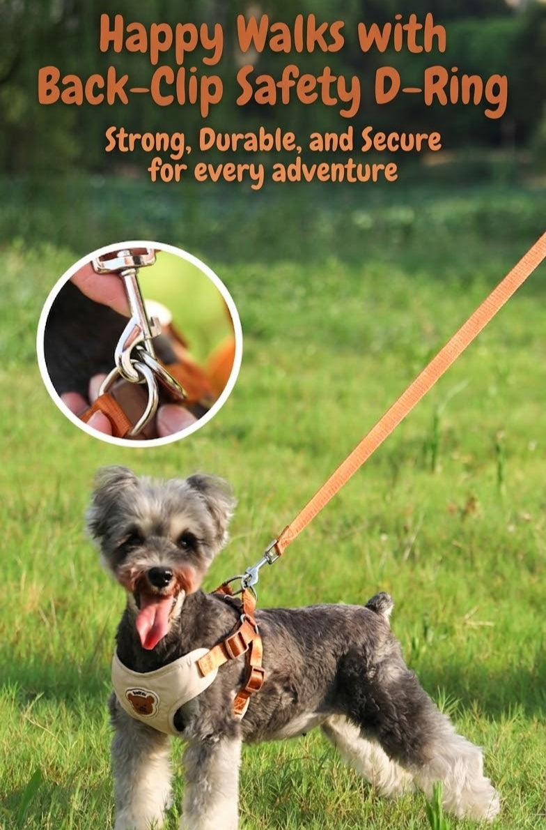 Breathable Mesh Harness & Leash Set