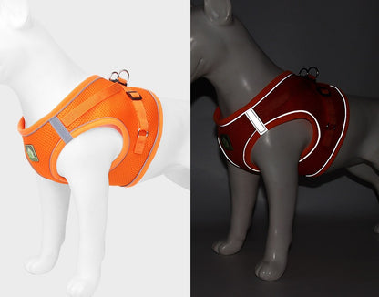 Reflective Mesh Harness & Leash Set