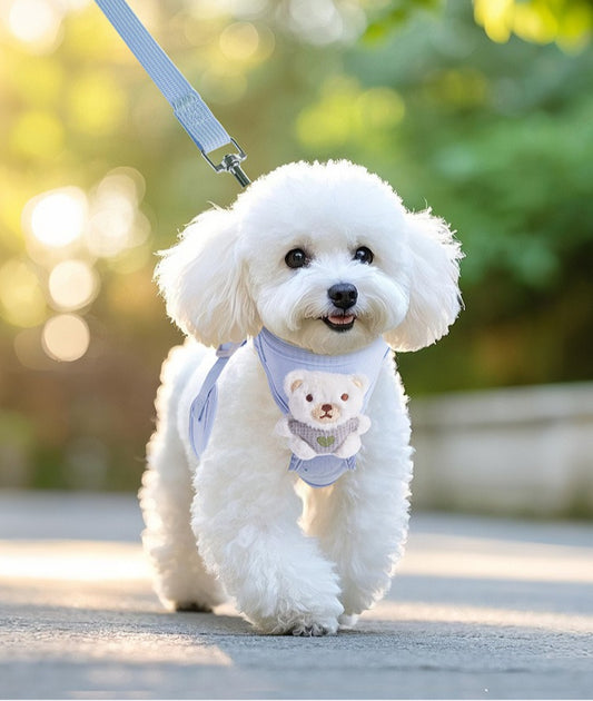 3D Cartoon Bear Dog Accessory Set for Dogs – Pink