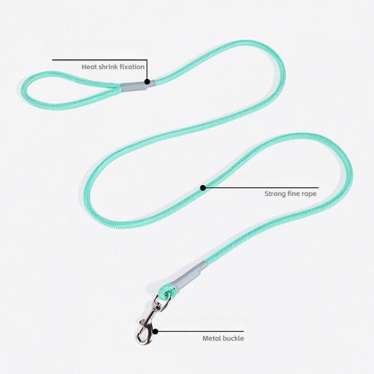 Braided Sponge Handle Dog Leash