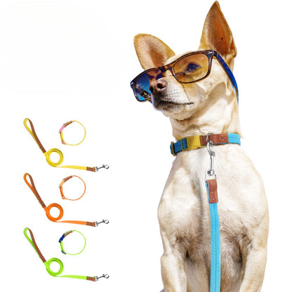 Two-Tone Dog Accessory Set for Dogs – Multi