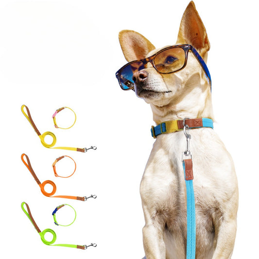 Two-Tone Dog Accessory Set for Dogs – Multi