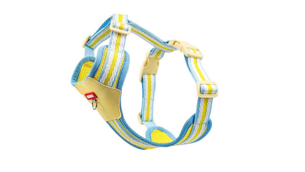Breathable Mesh Harness & Leash Set