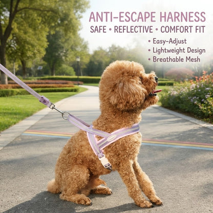 Reflective Mesh Harness & Leash Set