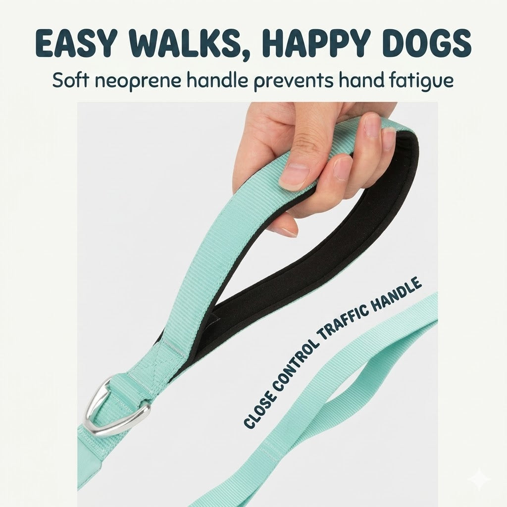 Lightweight CORDURA Dog Leash with Storage Pocket
