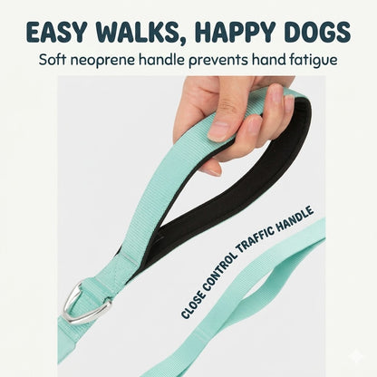 Lightweight CORDURA Dog Leash with Storage Pocket