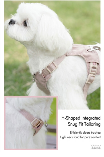 Lightweight Harness & Leash Set