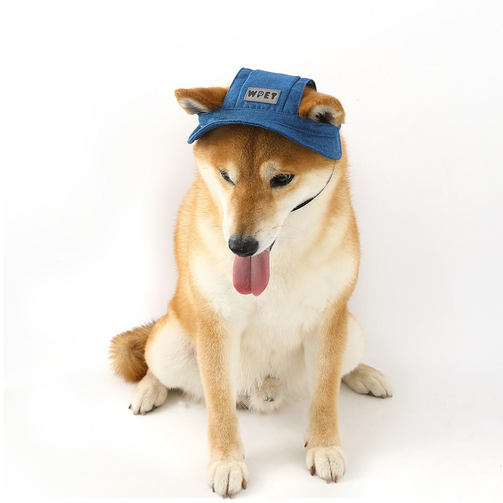Denim Style Dog Hat