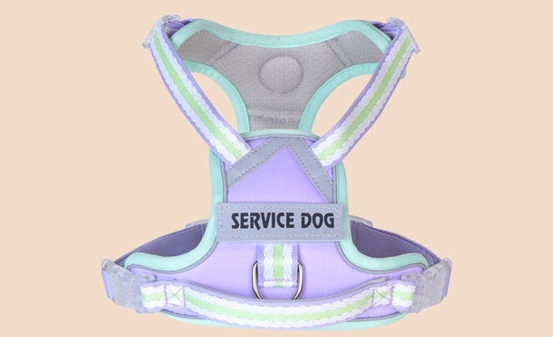 Breathable Mesh Harness & Leash Set