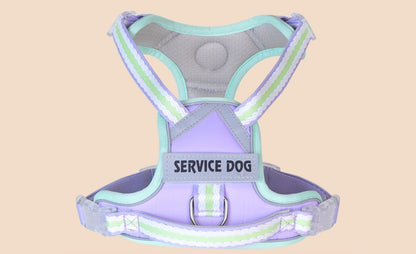 Breathable Mesh Harness & Leash Set