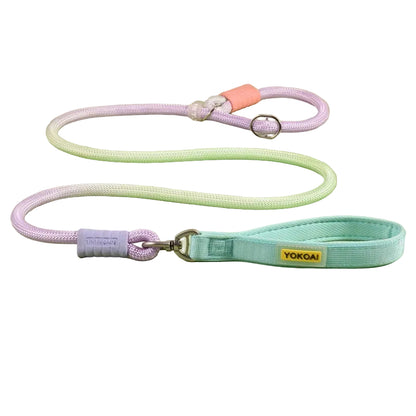 Gradient Slip Lead Dog Leash for Dogs – Blue