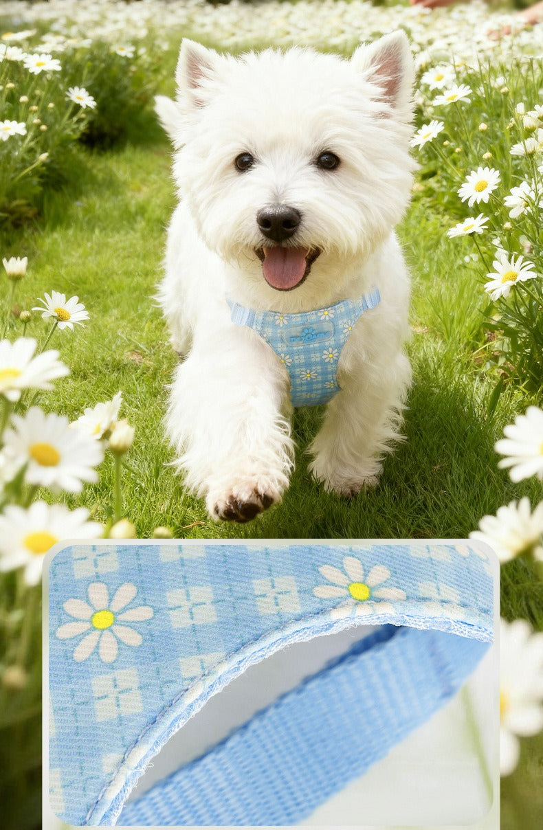 Daisy Plaid Harness & Leash Set