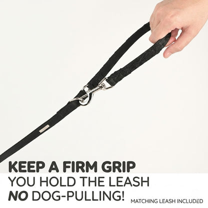 Crinkled Heart Harness & Leash Set – Black
