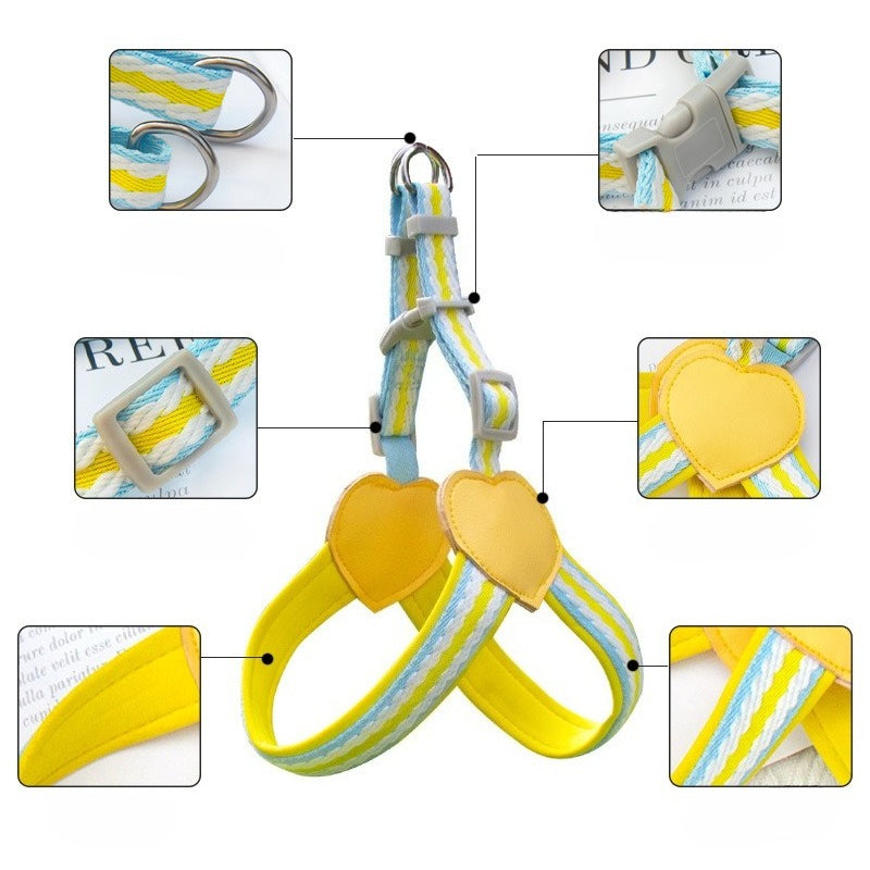 Striped Neoprene Harness & Leash Set