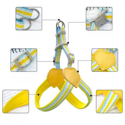 Striped Neoprene Harness & Leash Set