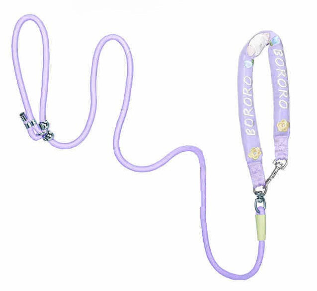 Embroidered Training Slip Dog Leash