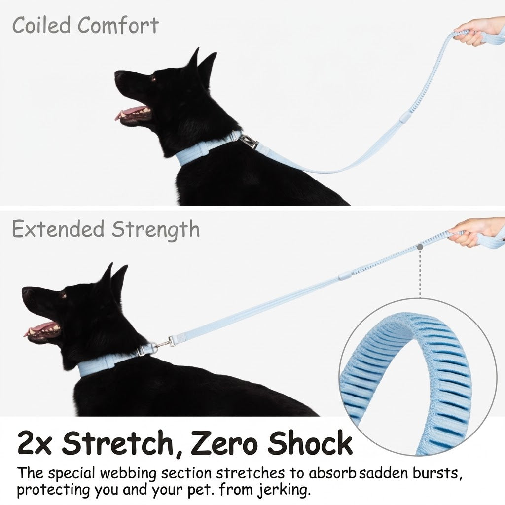 Elastic Shock-Absorbing Dog Leash