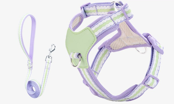 Breathable Y-Shape Harness & Leash Set