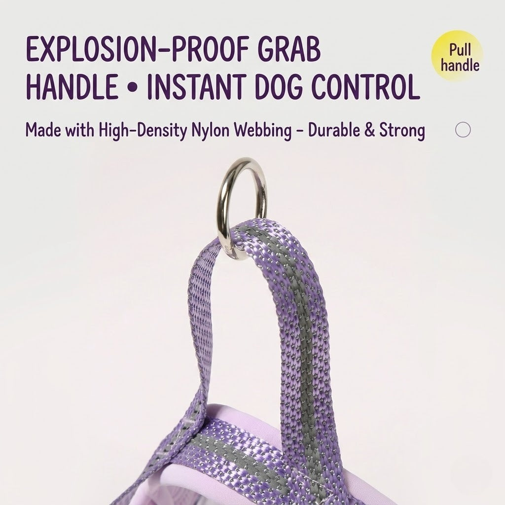 Reflective Mesh Harness & Leash Set