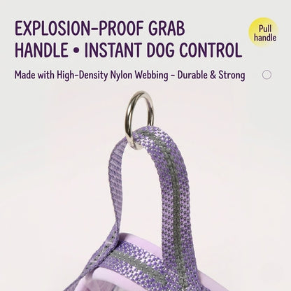Reflective Mesh Harness & Leash Set
