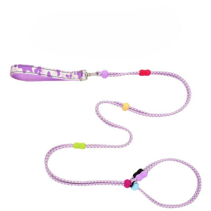 Integrated Training Dog Leash for Dogs – Purple
