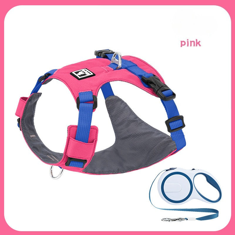 Lightweight Harness & Leash Set