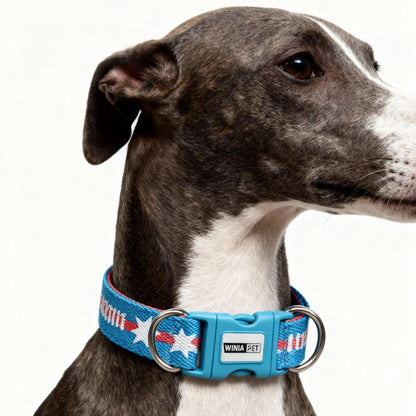 Star Pattern Dog Collar for Dogs – Blue