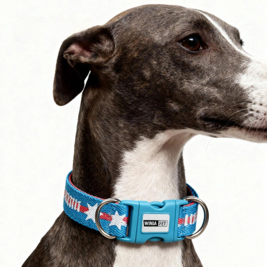 Star Pattern Dog Collar for Dogs – Blue
