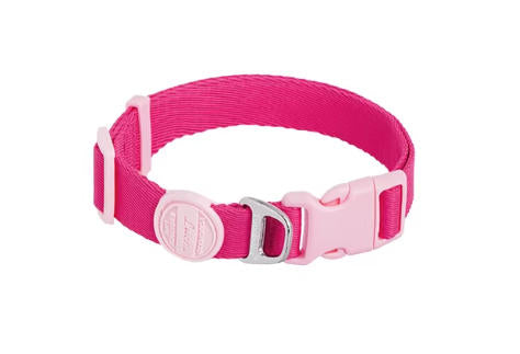 Soft Nylon Collar & Leash Set