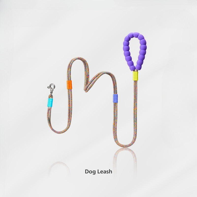 Multi-Way Braided Dog Leash – Rainbow