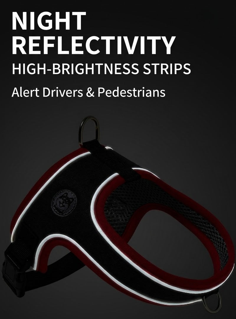 Reflective Saddle Harness & Leash Set