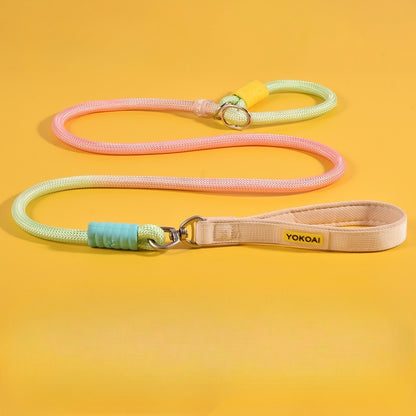 Gradient Slip Lead Dog Leash for Dogs – Blue