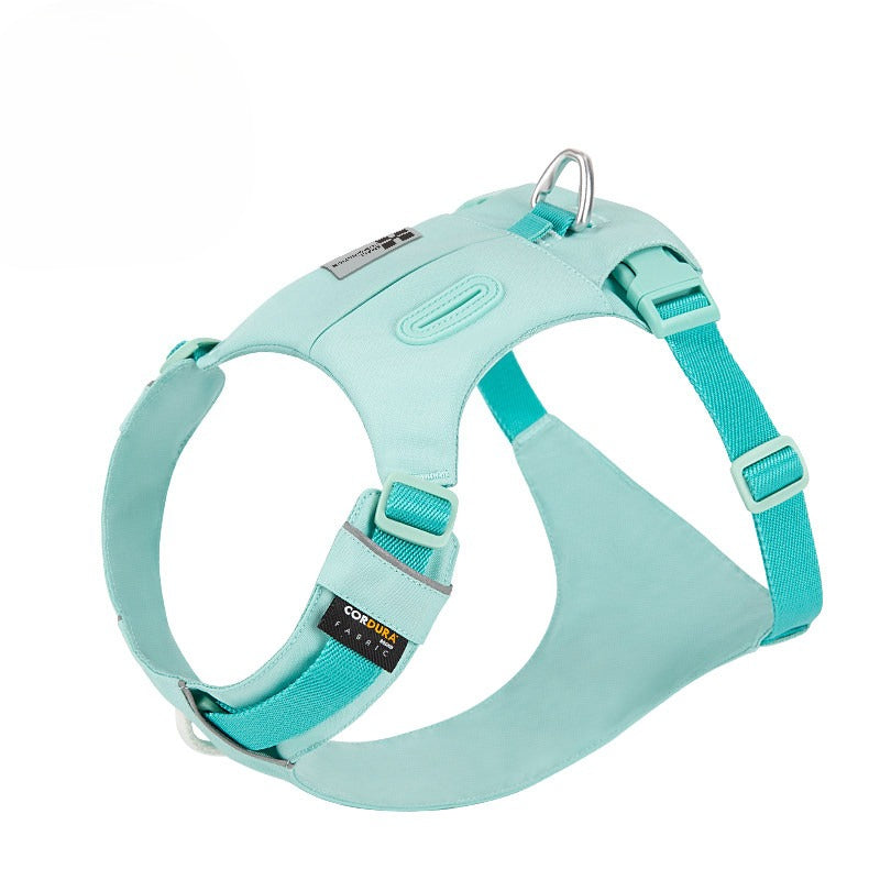 Hidden Pocket Harness & Leash Set