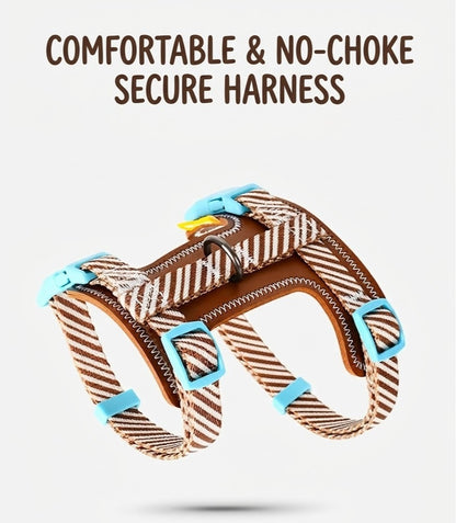 Striped Harness & Leash Set – Brown