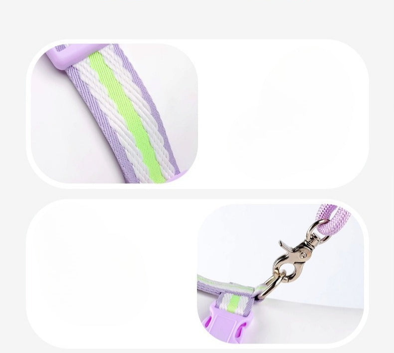 Breathable Mesh Harness & Leash Set