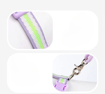 Breathable Mesh Harness & Leash Set
