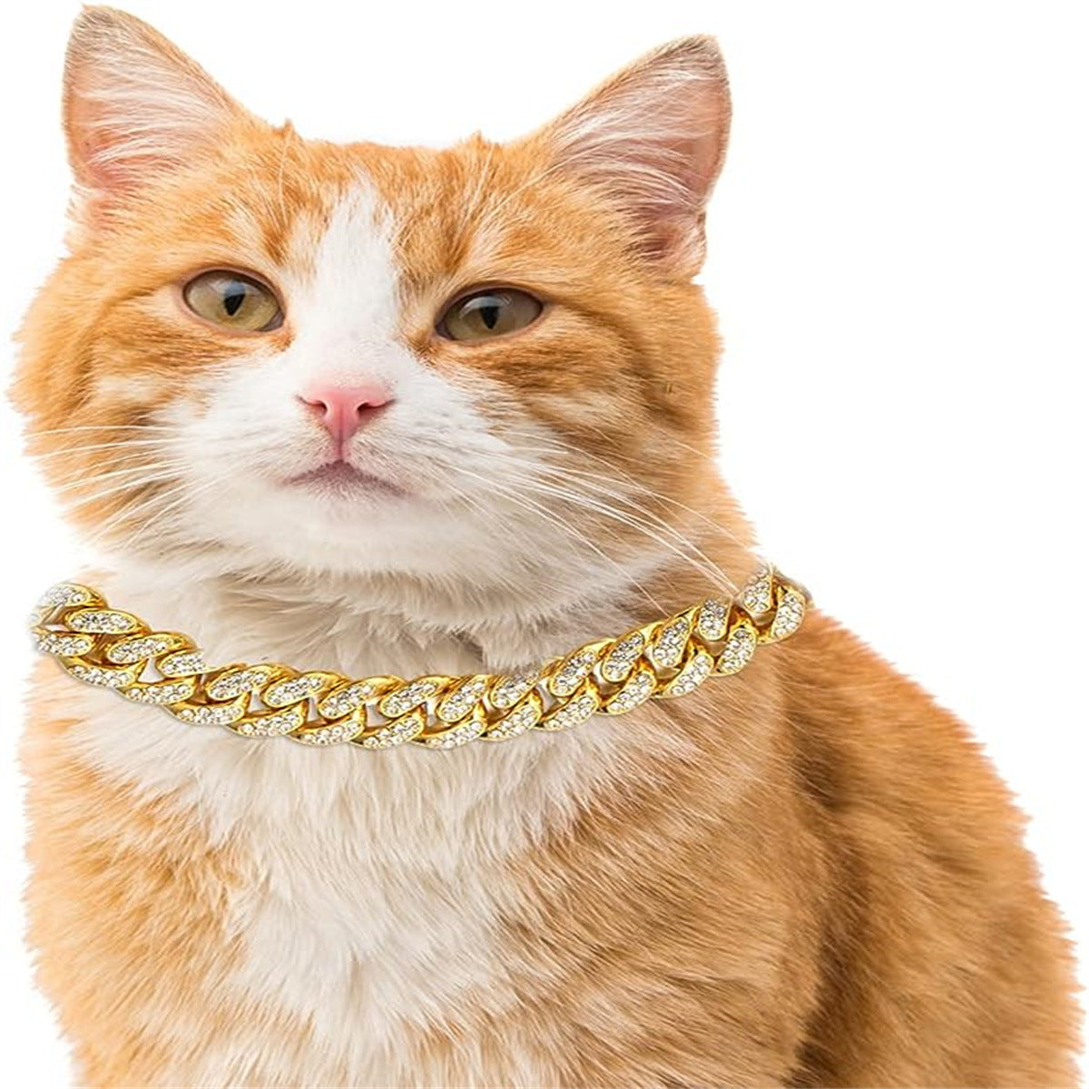 Rhinestone Chain Collar for Dogs – Silver