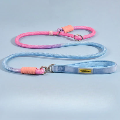Gradient Slip Lead Dog Leash for Dogs – Blue
