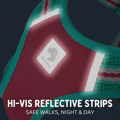 Reflective Mesh Harness & Leash Set