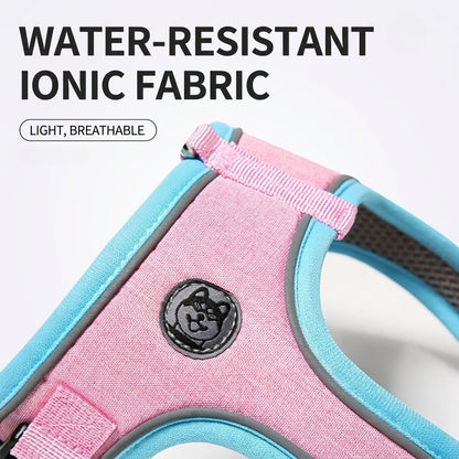 Reflective Saddle Harness & Leash Set