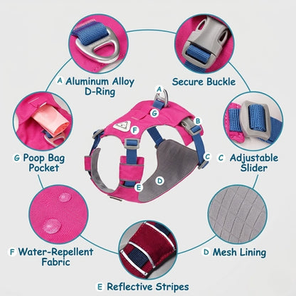 Lightweight Breathable Matching Dog Set