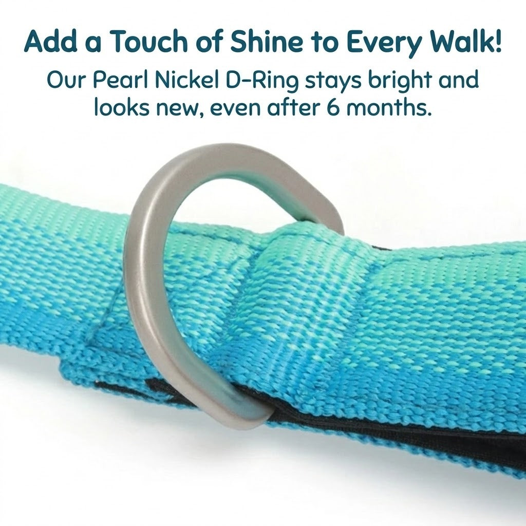 Gradient Dual-Handle Dog Leash