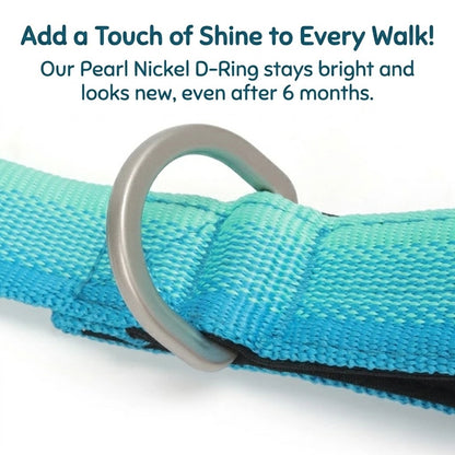 Gradient Dual-Handle Dog Leash