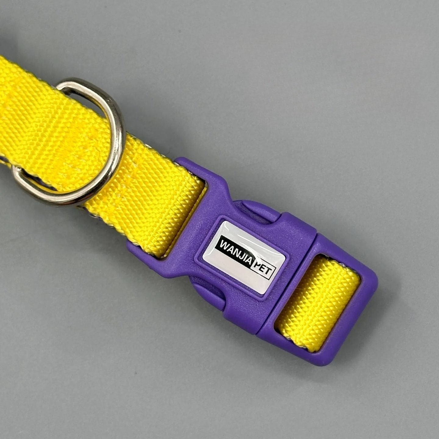 Color Block Dog Collar